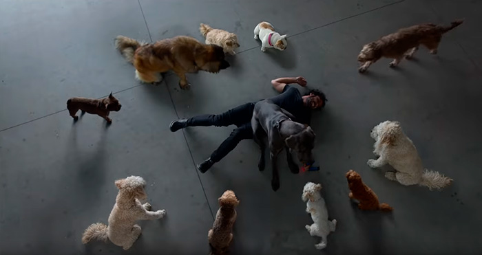 ����� ����� � ������ �����, ��� ������. ����� ����� � ������ "�����, ��� ������"