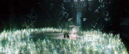 ,  :   DVD   (Return of the King)