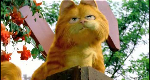 ��������: �������� ( Garfield )