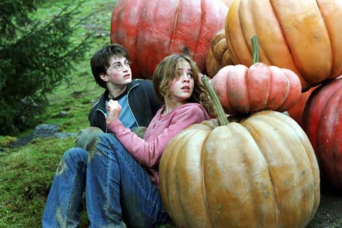  :      (Harry Potter and the Prisoner of Azkaban)
