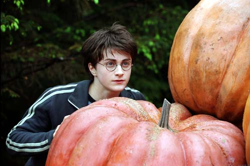  :      (Harry Potter and the Prisoner of Azkaban)