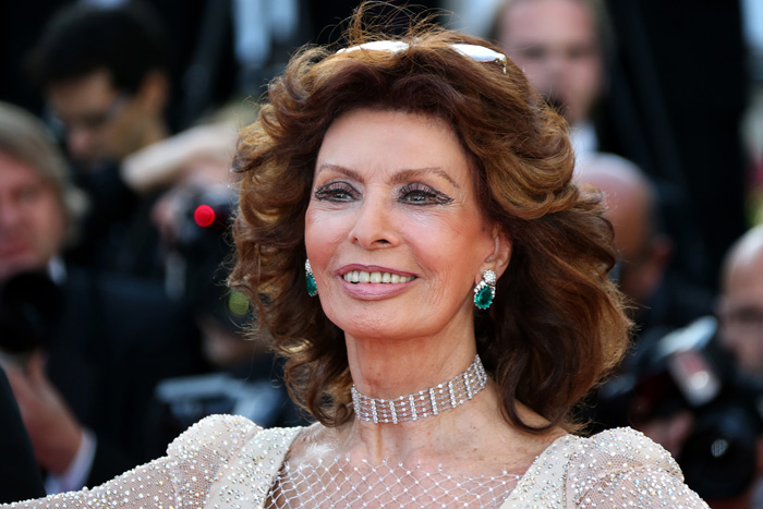 �������� �������������: ����� 2014.   ���� �����