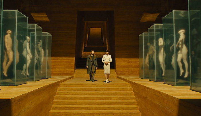    2049.   :      ,    