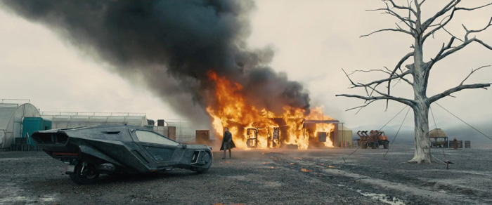    2049